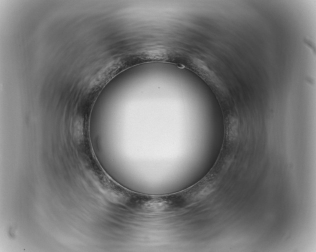X0000100910213200807011251