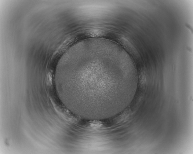 X0000100910214200807011251