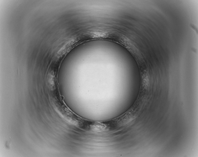 X0000100910215200807011251