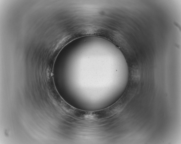 X0000100910216200807011251