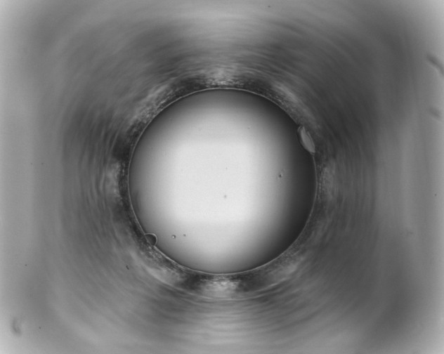 X0000100910217200807011251