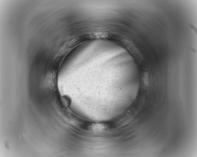 X0000100910218200807011251