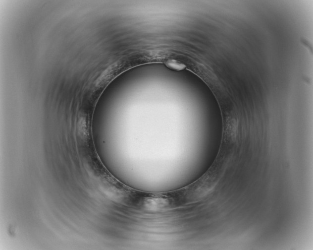 X0000100910220200807011251