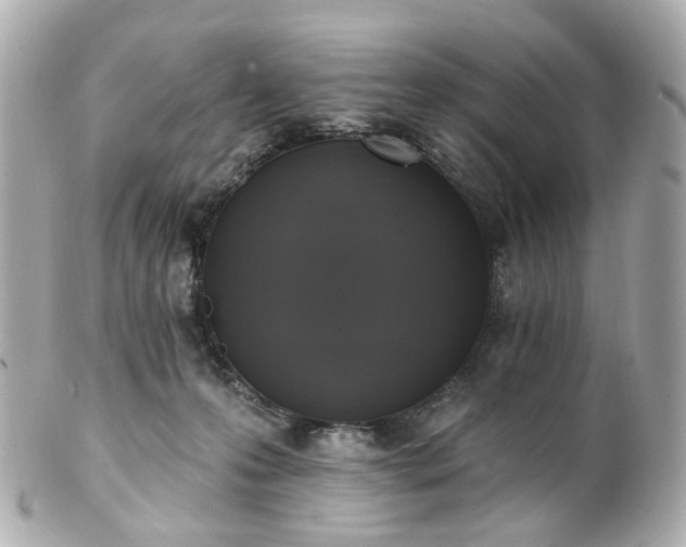 X0000100910223200807011251
