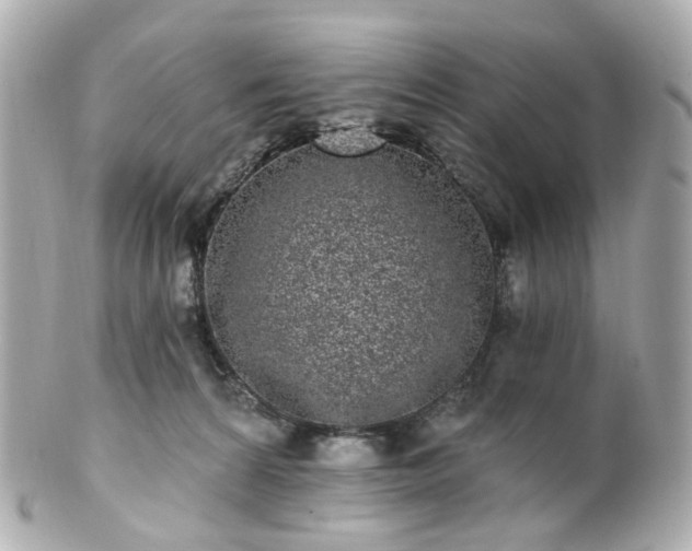 X0000100910224200807011251