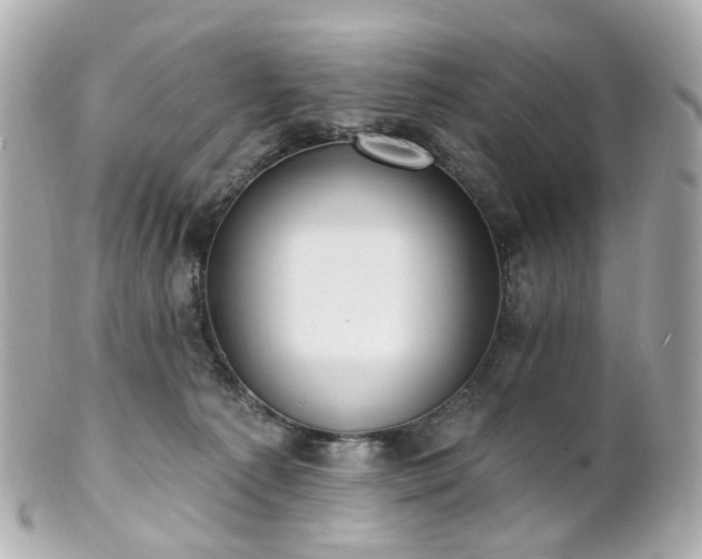 X0000100910225200807011251