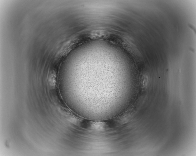 X0000100910226200807011251