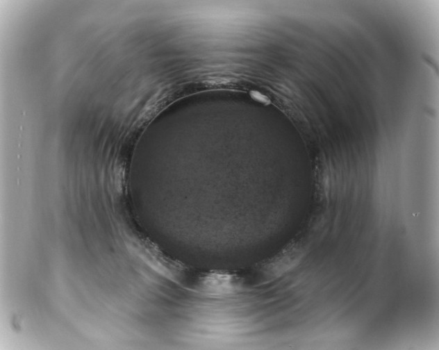 X0000100910227200807011251