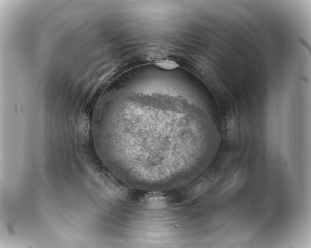 X0000100910228200807011251