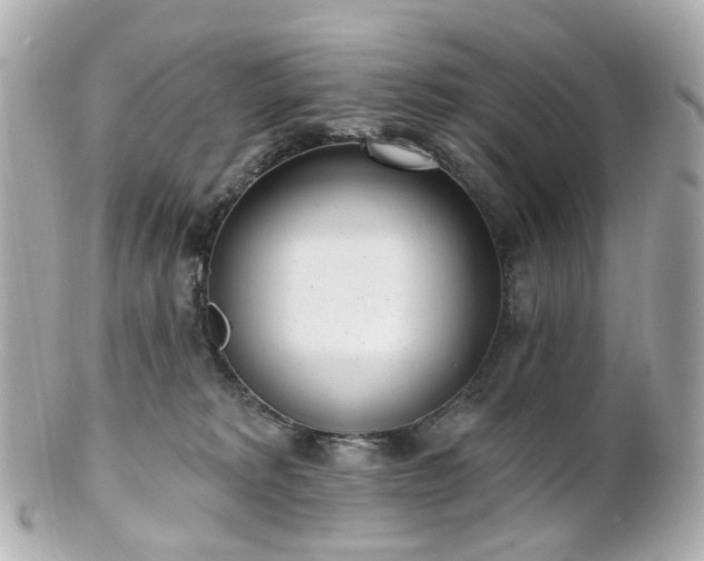 X0000100910229200807011251