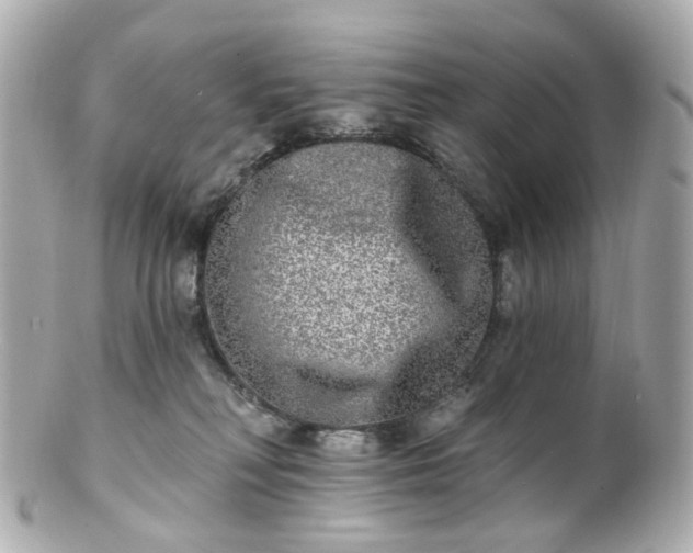 X0000100910230200807011251