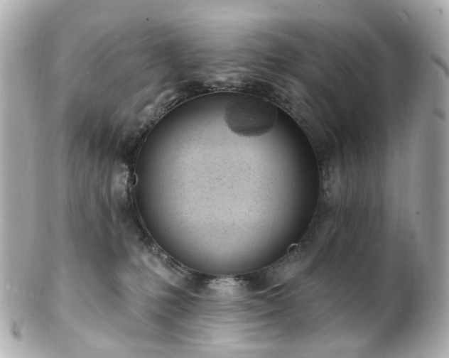 X0000100910231200807011251