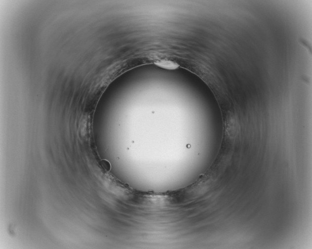 X0000100910233200807011251
