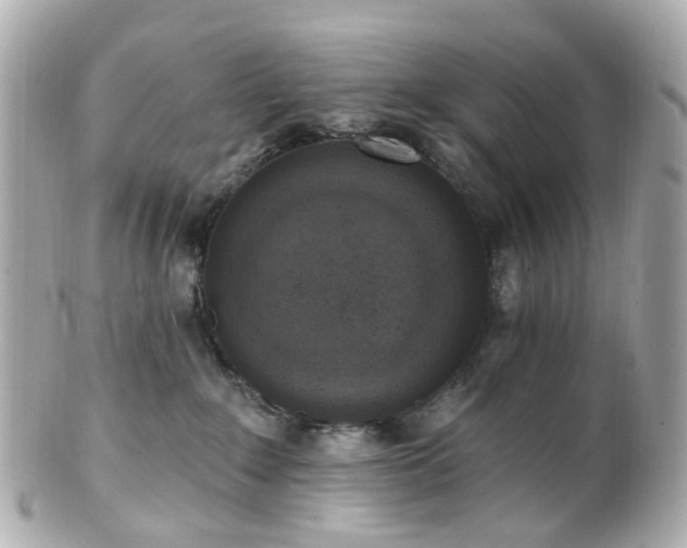 X0000100910235200807011251