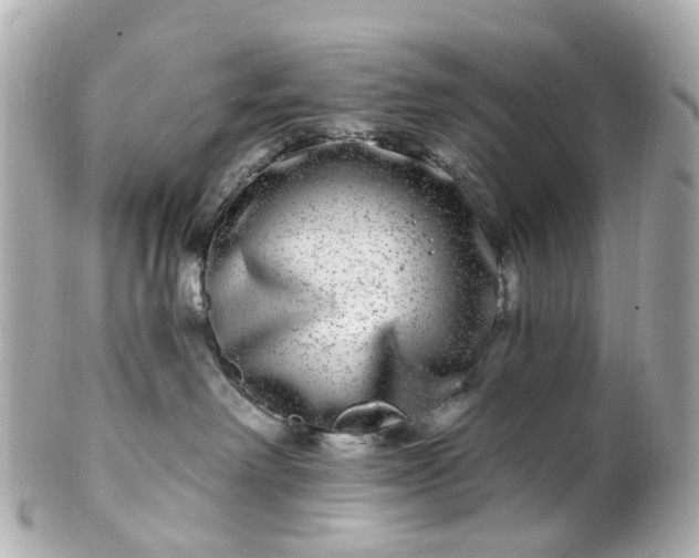 X0000100910238200807011251