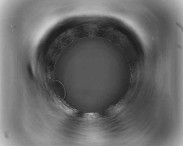 X0000100910239200807011251