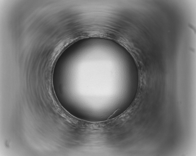 X0000100910241200807011250