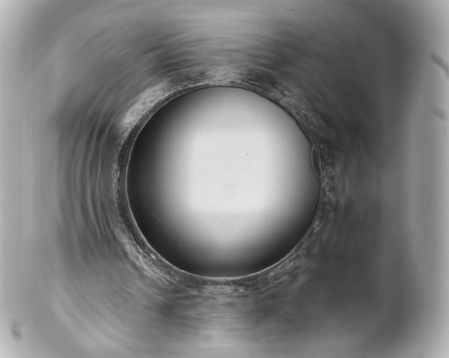 X0000100910242200807011250