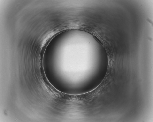 X0000100910244200807011250