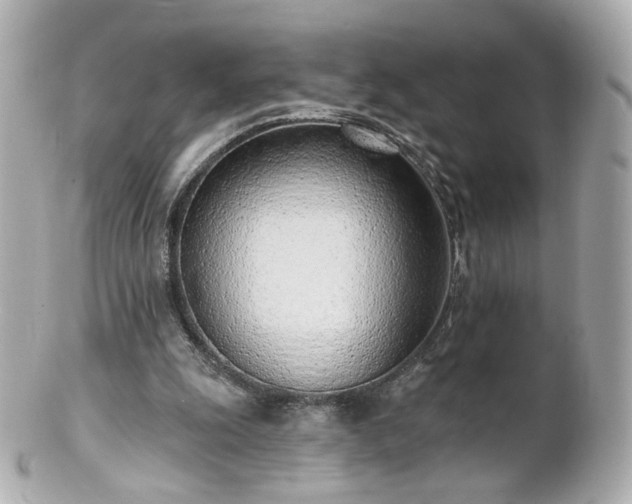 X0000100910247200807011250