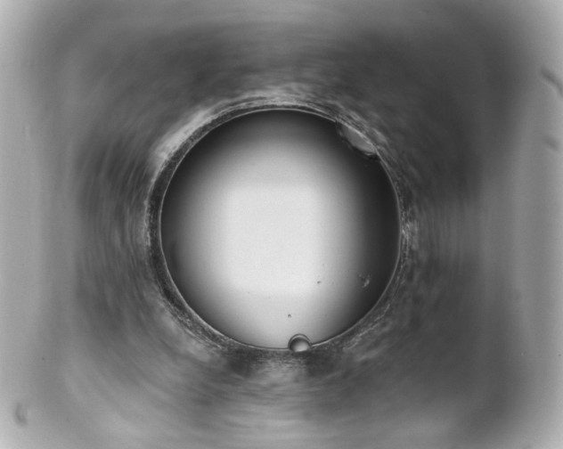 X0000100910248200807011250