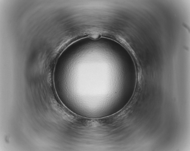X0000100910249200807011250