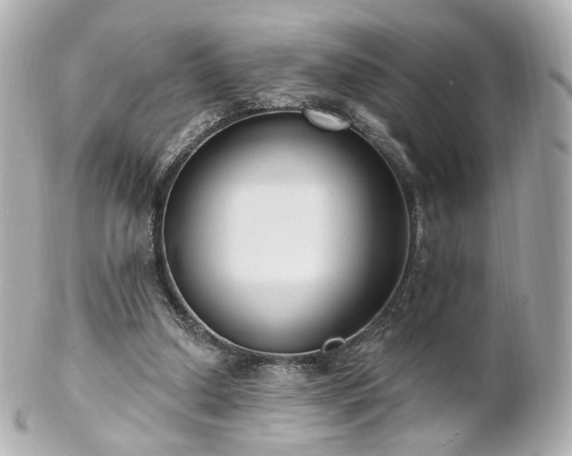 X0000100910250200807011250