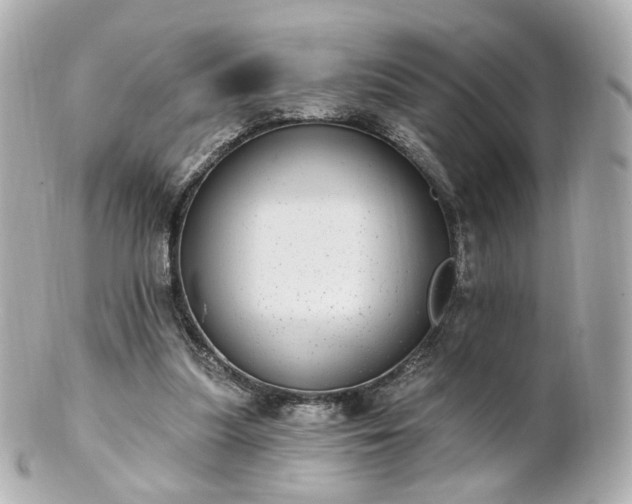X0000100910251200807011250