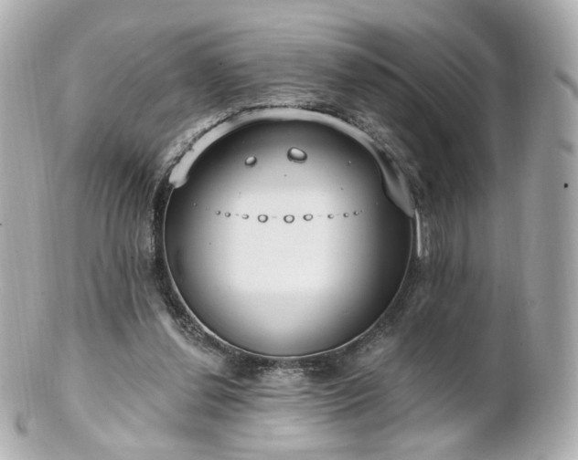 X0000100910252200807011250