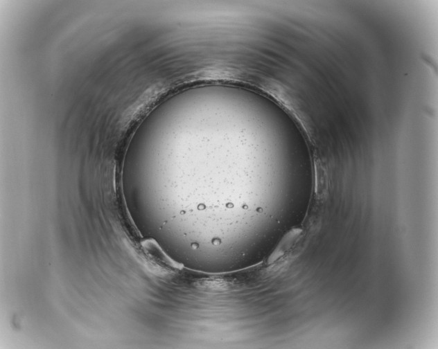 X0000100910253200807011250