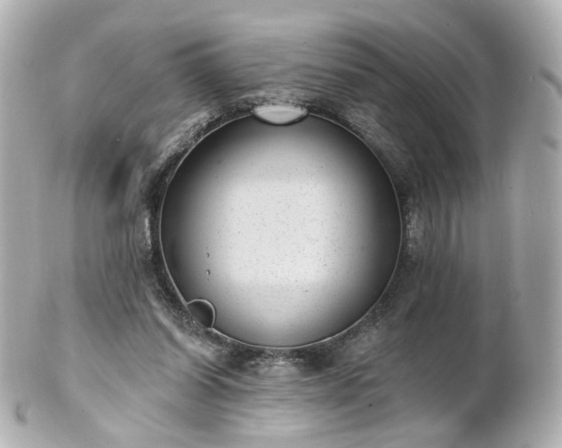 X0000100910254200807011250