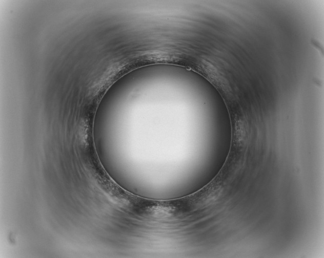 X0000100910255200807011250