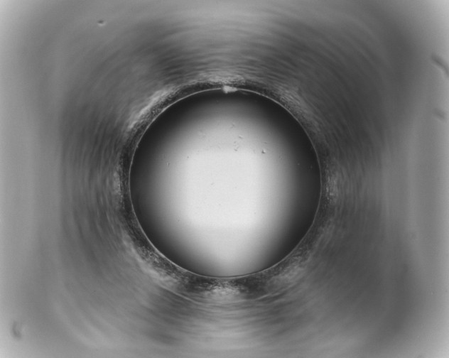 X0000100910256200807011250
