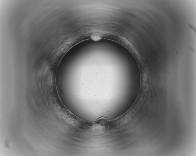 X0000100910257200807011250