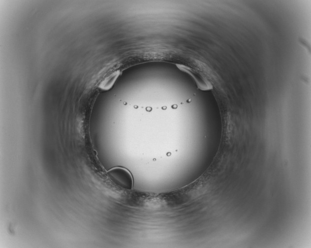 X0000100910258200807011250