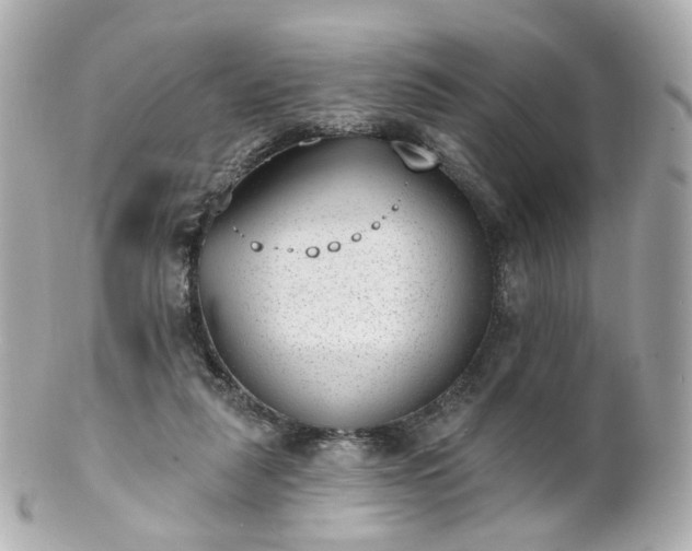 X0000100910259200807011250