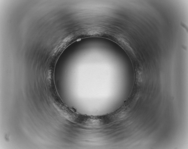 X0000100910260200807011250