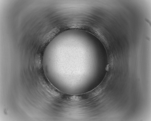 X0000100910261200807011250