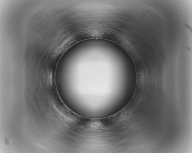 X0000100910262200807011250
