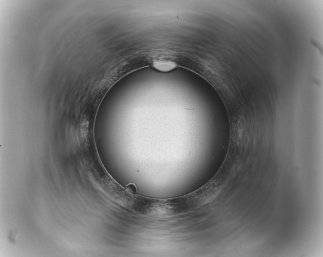 X0000100910263200807011250