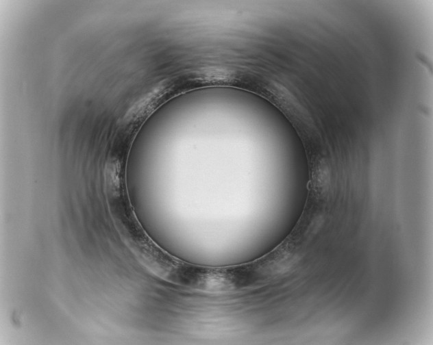 X0000100910264200807011250