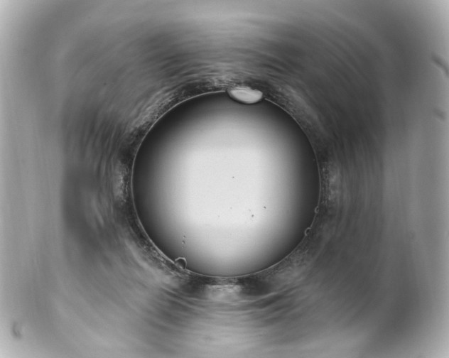 X0000100910266200807011250