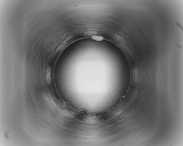 X0000100910267200807011250