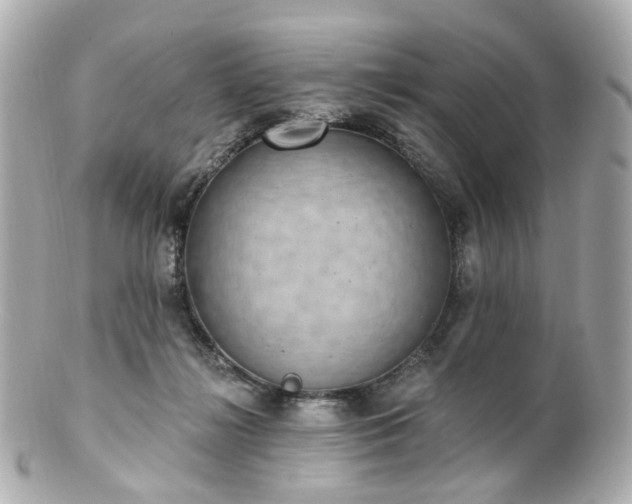 X0000100910268200807011250