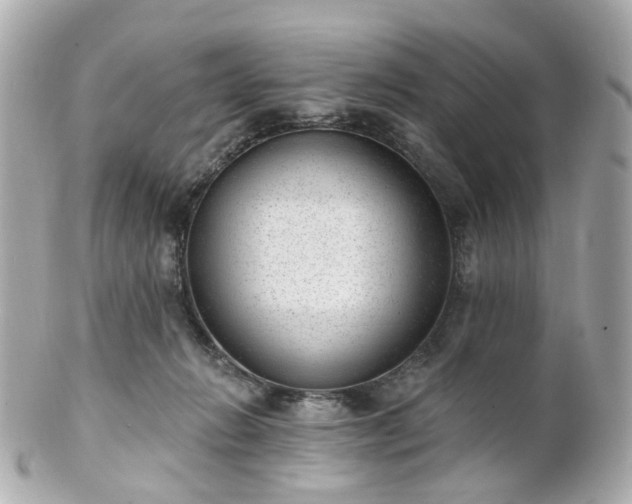 X0000100910270200807011250