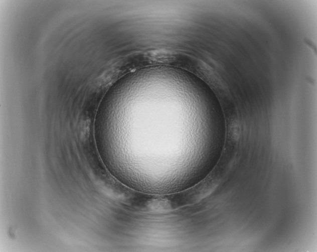 X0000100910271200807011250