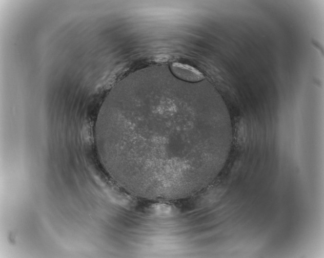 X0000100910272200807011250
