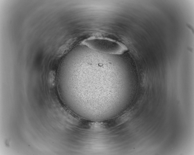 X0000100910273200807011250