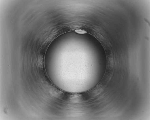 X0000100910274200807011250