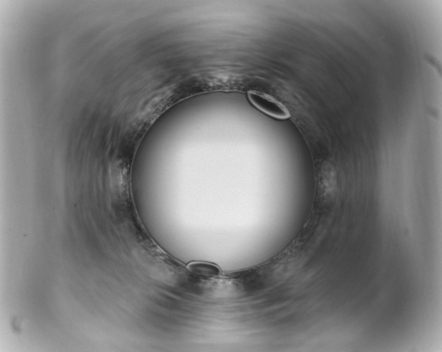 X0000100910276200807011250